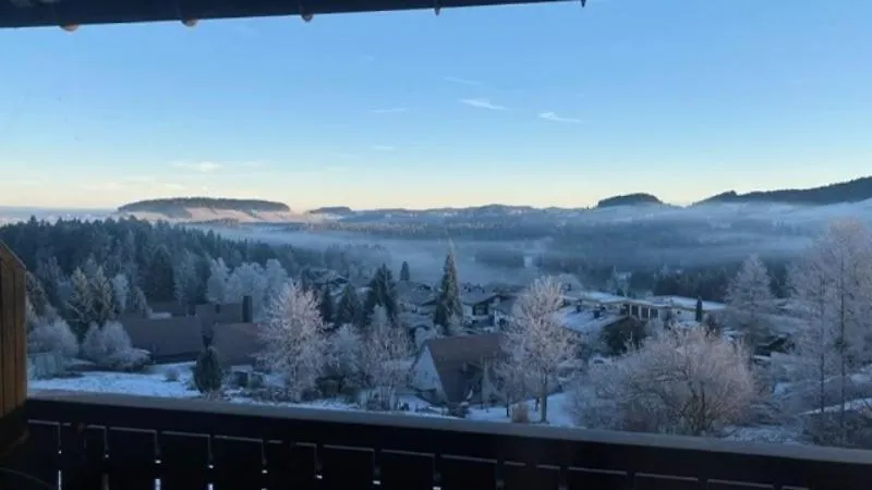 Fewo Panoramachalet, Oberreute Apartment